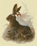(image for) Hare Fairy